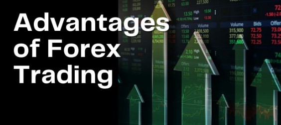 Mengenal Istilah-Istilah Penting dalam Investasi Forex