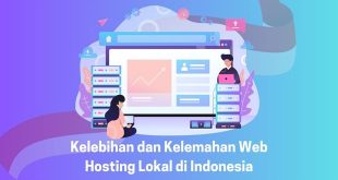 Kelebihan dan Kelemahan Web hosting Lokal di Indonesia